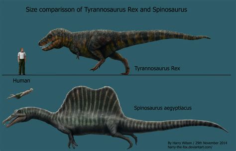 Spinosaurus vs t rex size - Apr 7, 2021 · With an estimated length of 11.5 meters (38 ft) and weighing up to 6.2 metric tons (6.8 short tons), this animal is among the largest carnivorous dinosaurs found on the continent, second only to T ... 